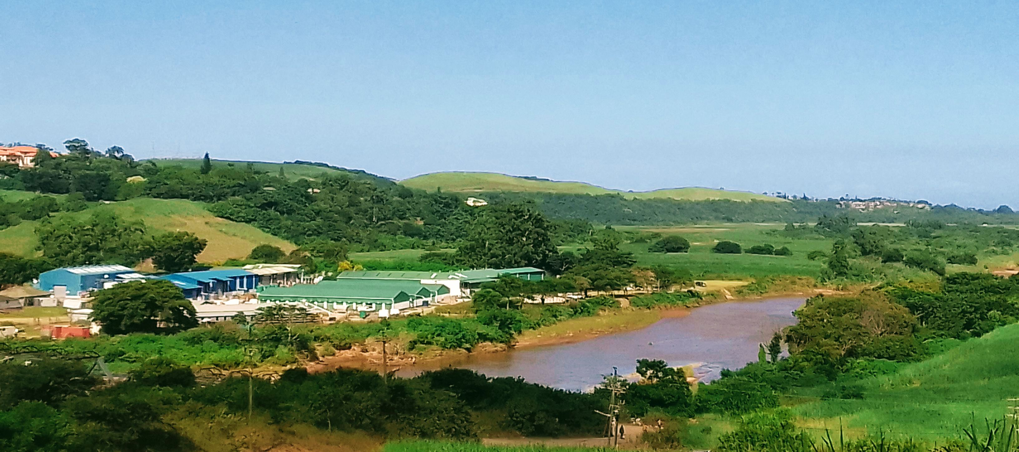 illovo business park view